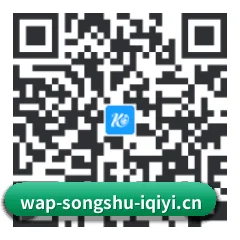 系统版 iOS 二维码