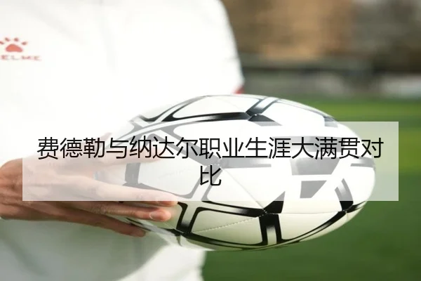 费德勒与纳达尔职业生涯大满贯对比